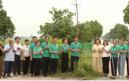 Khơi dậy 'sức dân' để phủ xanh những cung đường