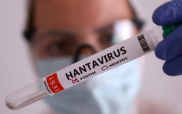 WHO xác nhận 6 trường hợp nhiễm virus Hanta