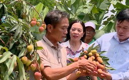 Người đưa nguồn tín dụng ưu đãi đến với người dân | Người tốt quanh ta | 10/05/2026