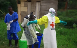 WHO đánh giá nguy cơ Ebola lan ra ngoài châu Phi