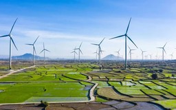 Cần có cơ chế vượt trội thu hút FDI năng lượng xanh