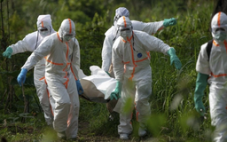 Dịch Ebola tại Congo và Uganda vượt mốc 600 ca