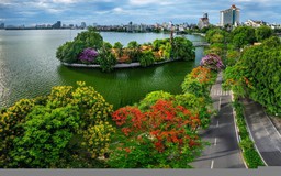 Hồ Tây ngập tràn sắc hoa