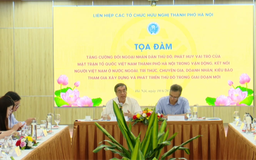 Đối ngoại nhân dân kết nối nguồn lực người Việt Nam ở nước ngoài