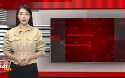 Bản tin 141 | 10/06/2026