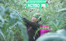 Nối dài chuỗi liên kết bốn nhà