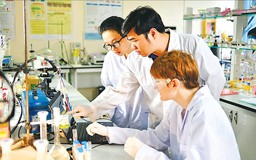 Gắn kết đào tạo và nghiên cứu trong giáo dục đại học hiện nay