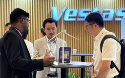 Việt Nam đứng trước cơ hội phát triển ngành điện gió