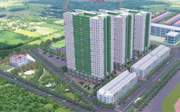 Xử lý nghiêm hành vi trục lợi NƠXH tại dự án IEC Residences