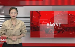 Bản tin 141 | 13/06/2026