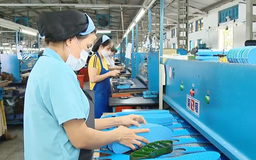 Kinh tế Việt Nam duy trì tăng trưởng bền vững