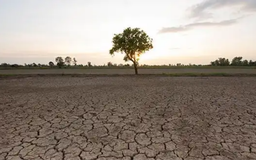 Năm 2026: El Nino mạnh, lượng mưa có thể thiếu hụt