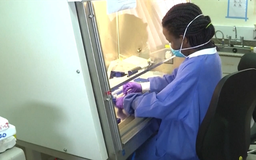 Uganda đẩy mạnh nghiên cứu vaccine đối phó với chủng virus Ebola Bundibugyo