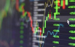 VN-Index áp sát mốc 1.800 điểm, sắc xanh lan tỏa
