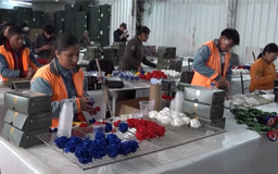 Ecuador tạo hoa hồng mang màu cờ World Cup