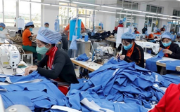 Đẩy mạnh chuyển đổi số, nâng cao năng suất ngành dệt may
