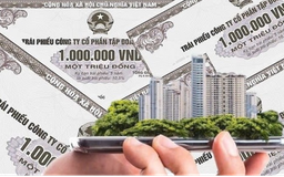 Một doanh nghiệp BĐS bị phạt 85 triệu đồng vì không công bố thông tin trái phiếu