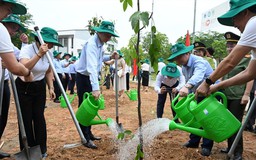 Trồng mới 1,5 triệu cây xanh, chung tay phòng chống suy thoái đất