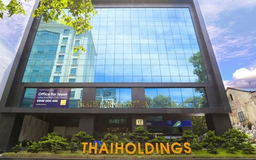 Cổ phiếu THD tăng giá gần 6 lần sau một tháng