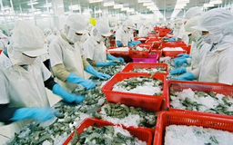 Xuất khẩu nông, lâm, thuỷ sản 5 tháng vượt 30,6 tỷ USD