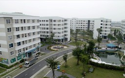 Thủ tướng yêu cầu chuẩn bị quỹ đất xây nhà ở cho thuê
