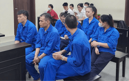 Xét xử đường dây môi giới mua bán thận