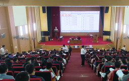 Sắp đấu giá lô đất hơn 10.000m2 làm nhà ở thấp tầng