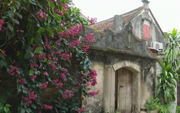 Đường Lâm - Vẻ đẹp di sản giữa lòng Thủ đô