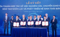 Kinh tế số phải đi sâu vào từng ngành, từng địa bàn