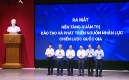 Triển khai chương trình và chính sách đào tạo nhân lực STEM