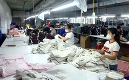 Nhiều tiêu chuẩn xanh khi xuất khẩu vào EU | Thủ đô và thế giới | 28/06/2026