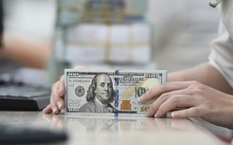 Đồng USD lấy lại đà tăng nhờ kỳ vọng Fed tăng lãi suất