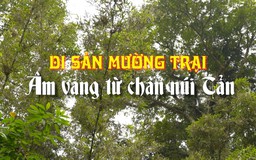 Di sản Mường Trại - âm vang từ chân núi Tản | Di sản kể chuyện | 29/06/2026