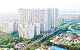 Nhà ở cho thuê - Giải pháp bền vững cho bài toán an cư