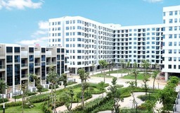 Từ tư duy sở hữu sang nhu cầu an cư ổn định
