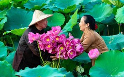 Niềm vui khi mùa sen về
