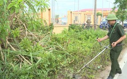 Xã Ứng Hoà đảm bảo vệ sinh môi trường xanh, sạch, đẹp