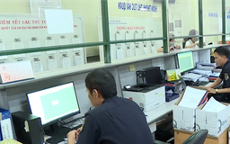 Bãi bỏ 10 thủ tục trong lĩnh vực hải quan