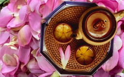 Chè Sen Quảng An - tinh hoa Hà Thành