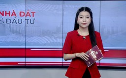 Bản tin Nhà đất và đầu tư | 11/07/2026