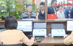 Từ 13/7, người dân theo dõi trực tuyến tiến độ cấp, đổi giấy phép lái xe
