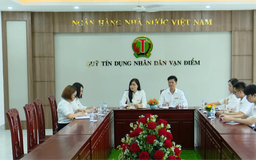 Đòn bẩy vốn cho phát triển nông thôn Hà Nội | Vấn đề kinh tế | 10/07/2026