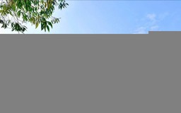 Thí sinh tại điểm thi THPT Chuyên Tuyên Quang được đăng ký xét tuyển đại học bình thường