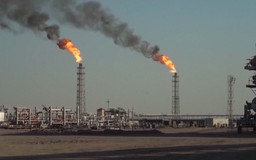 OPEC hạ dự báo tăng trưởng nhu cầu dầu mỏ toàn cầu năm 2026