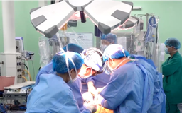 Một cuộc đời cho đi, 7 cuộc đời ở lại