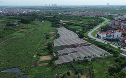 Xanh hóa đất nông nghiệp bỏ hoang - khơi nguồn sinh kế | Chuyển đổi xanh | 11/07/2026