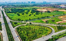 Doanh nghiệp trước ‘luật chơi’ carbon