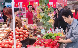 Triển khai chương trình quốc gia về bảo vệ quyền lợi người tiêu dùng