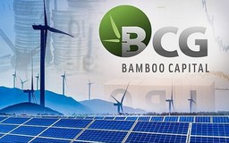 Hủy niêm yết bắt buộc cổ phiếu BCG của Bamboo Capital