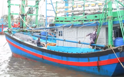 Yêu cầu các địa phương ứng phó với áp thấp nhiệt đới và bão